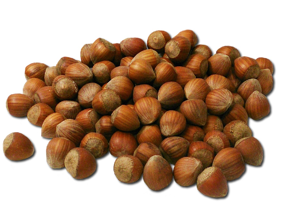 nocciole con guscio