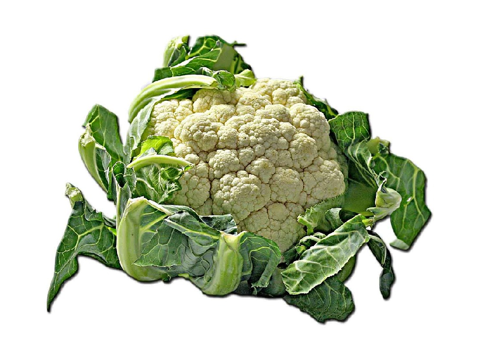 cavolfiore bianco