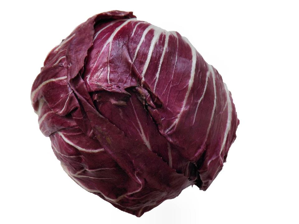 radicchio tondo