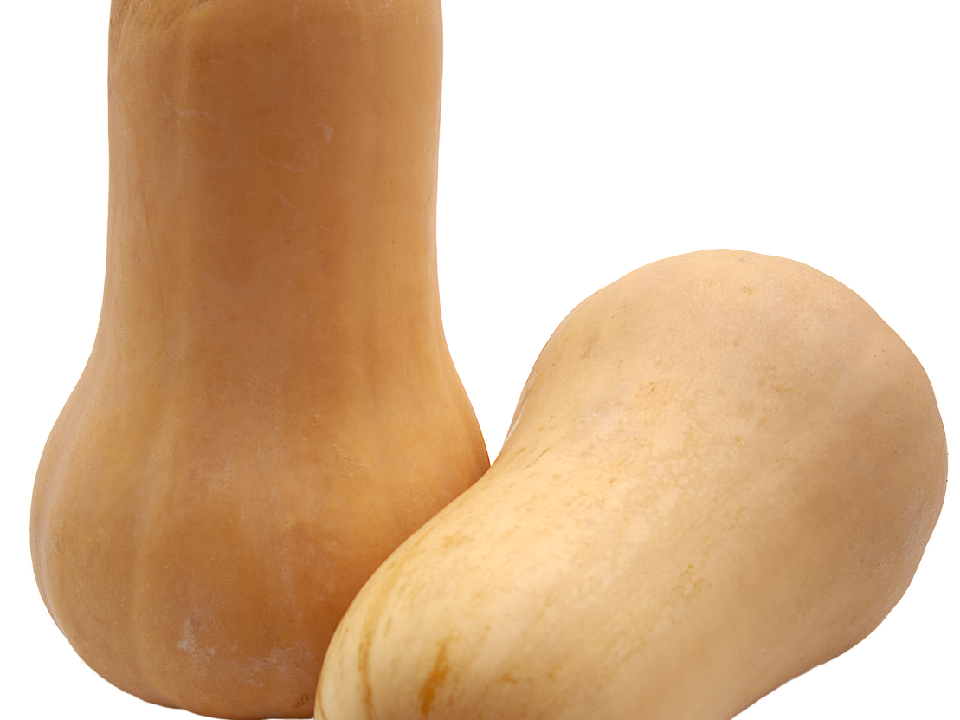butternut