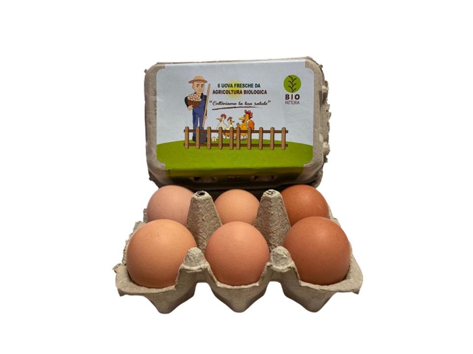 Confezione da 6 pezzi di uova di gallina biologiche 