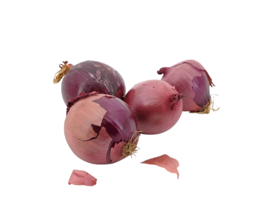 Cipolla rossa biologica