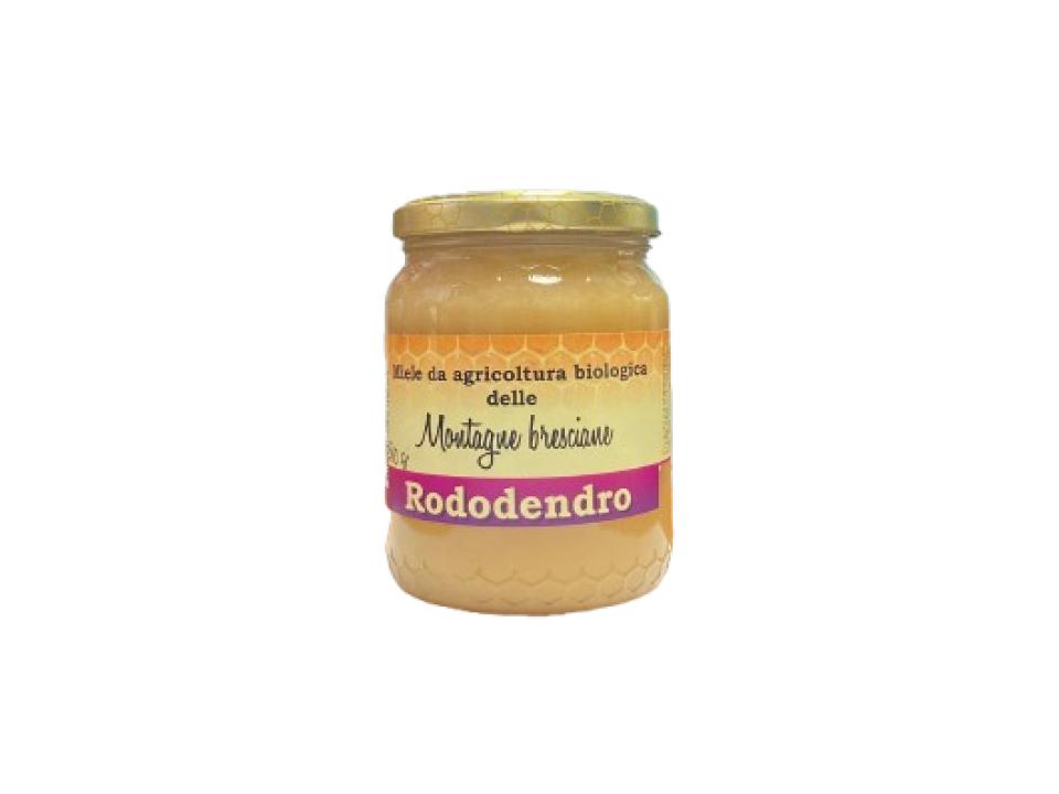 Vasetto in vetro di miele di rododendro bio (500g)