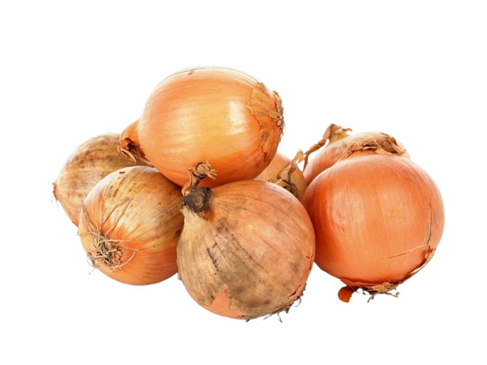 Cipolla dorata biologica