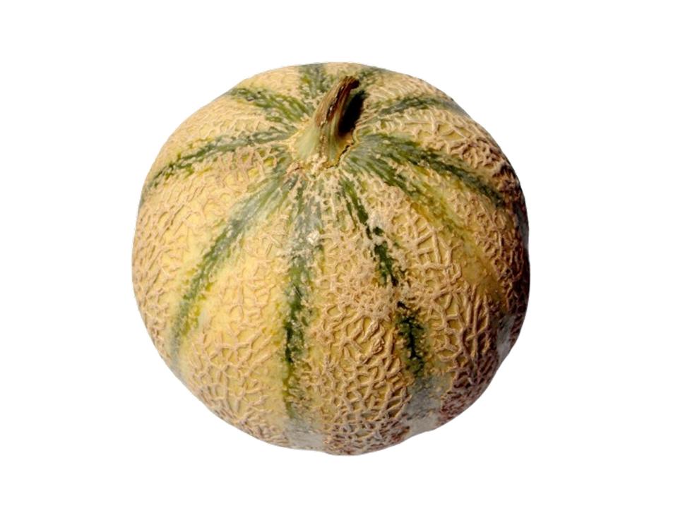 Melone retato biologico