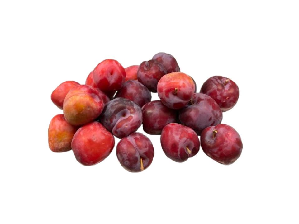 Susine precoci biologiche