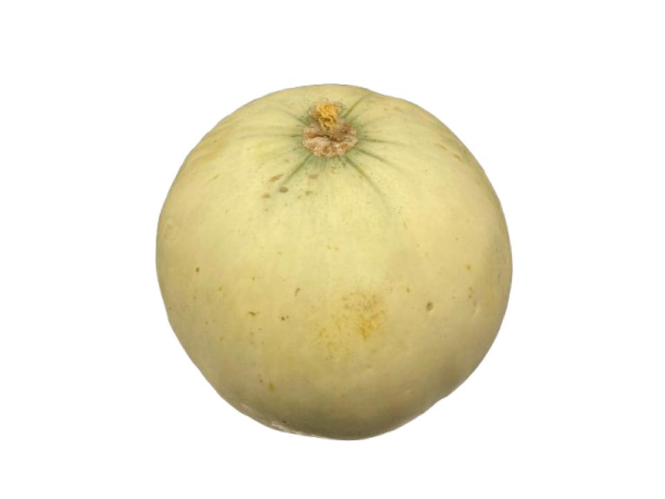 Melone liscio biologico