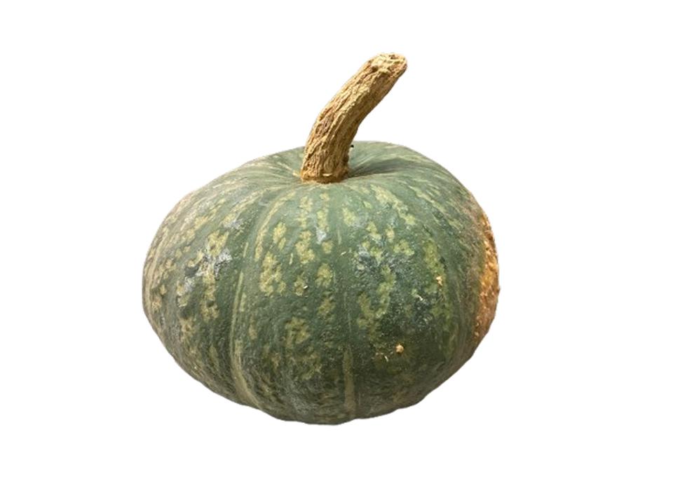 Zucca delica biologica