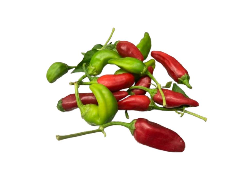 Peperone friggitello biologico